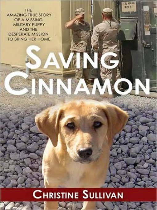 Title details for Saving Cinnamon by Christine Sullivan - Available